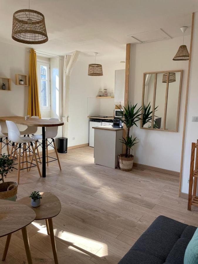 Le Velo Bleu Apartment Troyes Bagian luar foto